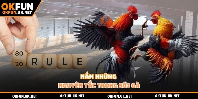 Nắm những nguyên tắc trong sới gà