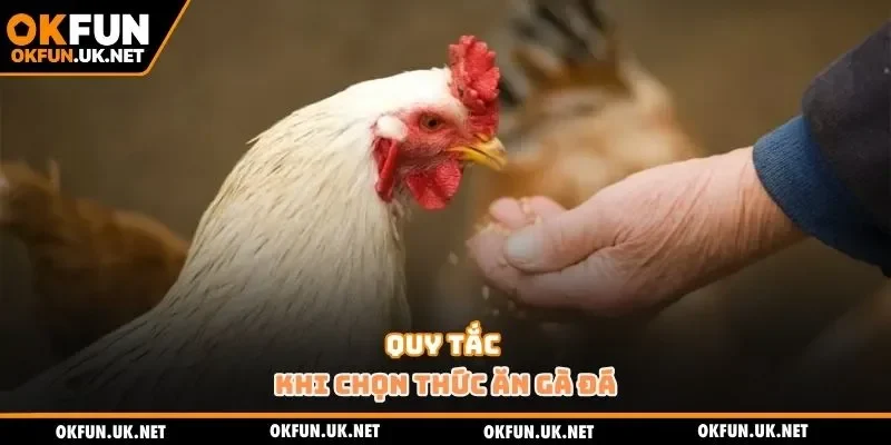 Quy tắc khi chọn thức ăn gà đá