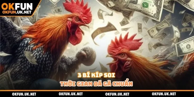 3 bí kíp soi thời gian đá gà chuẩn 